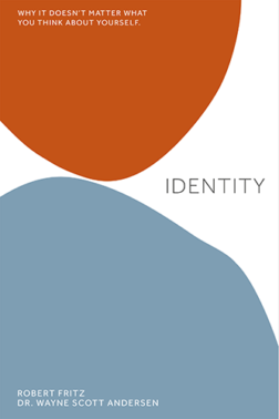 Identity (e-book)